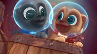 Welpen Freunde – L-R: Bingo (voiced by Issac Ryan Brown), Rolly (voiced by Sam Lavagnino)