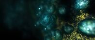 Die Erde - Entstehung des Lebens – Aus einfachen Lebensformen, die zunächst im Wasser leben, entwickeln sich immer komplexere Lebensformen.
