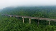 Lost Places – Bildunterschrift: Inmitten des brasilianischen Urwalds ragt eine Brücke über den Baumkronen hervor. Das Kuriose: Sie endet im Nichts.