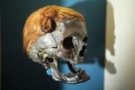 Große Völker der Geschichte – Kopf der Moorleiche: "Mann von Osterby" mit einen typischen Zopf des Germanenstammes der Sueben.