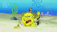 SpongeBob Schwammkopf – Sa, 08.11., 20:00 Uhr