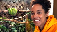 Anna und die Haustiere – Pia vor dem Terrarium von "Mephisto", einem vier Jahre alten Grünen Baumpython. Weiteres Bildmaterial finden Sie unter www.br-foto.de.