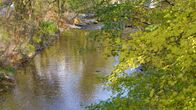 Wiener Wässer – Wienfluss bei Wolf in der Au.
