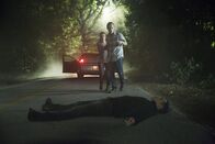 Vampire Diaries – Vampire Diaries (2016)