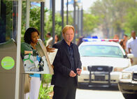 CSI: Miami – CSI: Miami (2010)