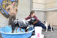 Brooklyn Nine-Nine – Brooklyn Nine-Nine (2014)