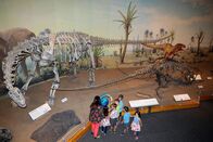 GEO Reportage – Die kanadischen Badlands gelten als weltweit größte Fundstelle von Dinosaurier-Fossilien.