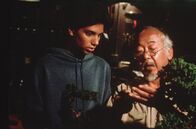 Karate Kid – Daniel La Russo (Ralph Macchio, l.) hat tagtäglich mit der brutalen Schikane seiner Mitschüler zu kämpfen. Um sich endlich dagegen wehren zu können, zeigt ihm Mr. Miyagi (Pat Morita, r.) als Lehrer und Freund die Urform des Karate.