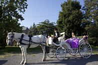 My Big Fat Gypsy Wedding – Sa, 02.04., 17:25 Uhr