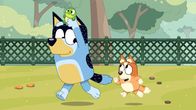 Bluey – Fr, 28.02., 06:45 Uhr