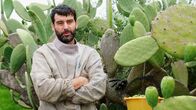 Köstliches Sizilien – Köstliches Sizilien Der fruchtbare Süden Michele Russo auf seiner Kaktusfeigenfarm Copyright: SRF/Florianfilm