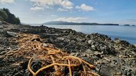 mareTV – NDR Fernsehen MARETV, "In Alaskas Fjordwelt - Abenteurer in der Wildnis" Uhr. Gigantische Fjorde und endlose WÃ¤lder: Der SÃ¼dosten Alaskas wird auch als â€žlast frontierâ€œ bezeichnet, als letzter AuÃŸenposten der USA. Mit 1,7 Millionen Quadratkilometer ist Alaska fast fÃ¼nfmal so groÃŸ wie Deutschland. Â
