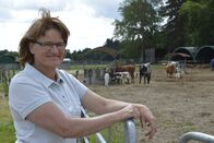 Landfrauenküche – Für die 52-jährige Oberfränkin Anne Leichtenstern ist "Hornochse" kein Schimpfwort. Auf ihrem Hof in Prebitz, Landkreis Bayreuth, züchten sie und ihr Mann Longhorn-Rinder, mächtige Tiere mit Hörnern bis zu 2,50 Meter Spannweite. Als Western-Fans hatte das Paar die besondere Rinderrasse aus den USA schon länger im Auge und brachte sie 2009 nach Oberfranken. Mit 100 Tieren haben die Leichtensterns derzeit die größte Longhorn-Zucht Europas. Und damit die Arbeit auf ihrem Biohof nicht ausgeht, gibt es noch eine Herde Hereford-Rinder, Schweine, Gänse, Bienen, Hühner und eine Brennerei.