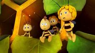 Die Biene Maja – Es gibt kaum noch Platz im Bienenstock.