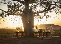 Australia – Australia In festlicher Laune: Nicole Kidman als Lady Sarah Ashley