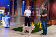 1, 2 oder 3 – Hundetrainerin Conny Sporrer berichtet Elton von ihrer Arbeit.
