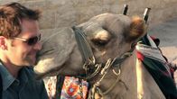 Drive Thru History - Unterwegs ... – Fr, 25.09., 14:00 Uhr