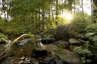 Wildes Belgien – Von den Höhen der Ardennen bis zu den niedrig gelegenen Deichen Flanderns formt das Wasser die Gebiete und bestimmt den Reichtum ihrer Biodiversität.