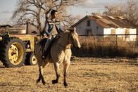 Cry Macho – Rafo (Eduardo Minett)