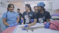 Oasen - Inseln des Lebens – Die Tierretter von Mumbai retten jährlich bis zu 3000 Tiere aus der Stadt.