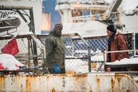 Fortitude – Fortitude (2017)