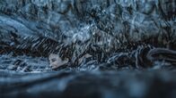 Breaking Surface - Tödliche Tiefen – Tuva (Madeleine Martin) weiß in der Regel mit bedrohlichen Situationen über und vor allem unter Wasser umzugehen.