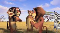 Madagascar 2 – "Madagascar 2", Die New Yorker Zootiere machen sich nach ihrem Abenteuer in Madagaskar auf die Heimreise in den Big Apple. Die Pinguine machen ein Flugzeugwrack startklar - und ab geht's! Über Afrikas Savanne macht das Flugzeug nicht mehr mit. Nach einer atemberaubenden, aber bravourösen Bruchlandung wähnen sich Löwe Alex, Zebra Marty, Nilpferddame Gloria und Giraffe Melman im Paradies. Als Alex in dem Anführer der Tiere seinen Vater erkennt, verfolgt Rivale Makunga bereits finstere Intrigenpläne.