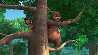 Das Dschungelbuch – Vom Baum aus beobachten Mogli (l.) und Balu (r.) ihren "Schüler", den Schakal Tabaqui: Schafft er es, ohne ihre Hilfe ein Tier zu fangen?