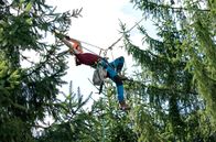 Der Ranger - Paradies Heimat – Die erfahrene Klettererin Laura Bothe (Giulia Goldammer) ist bei der Zapfenernte in schwindelerregenden Höhen unterwegs.