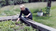 In den Nockbergen – Claudia Trügler am Kräuterbeet in Arriach.