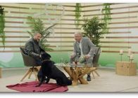 Gunst der Stunde – Do, 06.08., 06:30 Uhr