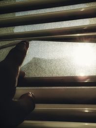 Your Worst Nightmare – Mi, 26.06., 04:05 Uhr