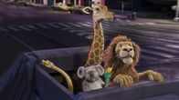 Tierisch wild – Sa, 04.04., 10:35 Uhr