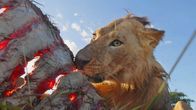 Terra X: Serengeti – Löwen sind die größten Landraubtiere Afrikas und jagen vor allem große Pflanzenfresser.
