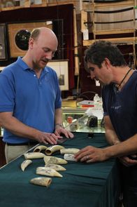 Auction Kings – Sa, 28.05., 12:45 Uhr