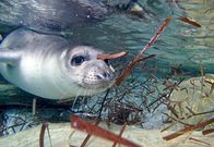 Welt der Tiere – Welt der Tiere (2013)