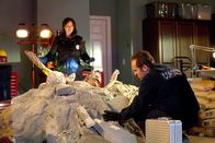 CSI: Vegas – CSI: Vegas (2014)