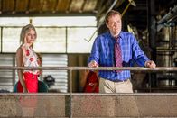 Death in Paradise – Mo, 22.06., 11:20 Uhr