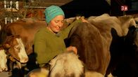 Bauer, ledig, sucht... – Annelies