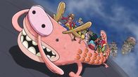 One Piece – Do, 03.09., 18:30 Uhr