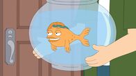 American Dad! – Hayley