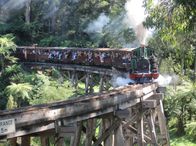 Mit dem Zug ... (ARD-alpha) – Das schönste Motiv in Victoria: Puffing Billy auf der Monbulk Creek Brigde.
