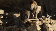 Der König der Löwen – (v.l.n.r.) Scar; Mufasa; Zazu