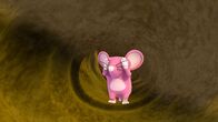Wissper – Wissper - Raus mit der Maus - Ein fürchterlicher Wind bläst die kleine Maus Cindy mitsamt ihrem Häuschen davon. Freund Marcus ist verzweifelt. Wissper und Peggy eilen herbei, um Marcus zu helfen, Cindy wiederzufinden. Doch damit ist das Problem noch nicht gelöst. Cindy steckt im Gang eines Mauselochs fest. Wissper ruft einen Freund, der viel Wind machen kann, um Cindy aus der Klemme zu helfen. Foto: ORF/STUDIO 100 MEDIA. Veröffentlichung honorarfrei nur für redaktionelle Berichterstattung in Sendungszusammenhang und mit Copyrightangabe. Kontakt: foto@orf.at
