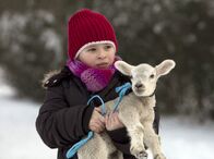 In aller Freundschaft – Lisa Schroth (Ella Zirzow) möchte das niedliche Osterlamm vor dem Kochtopf bewahren und schmiedet einen Plan. Kurz darauf ist nicht nur das Lamm sondern auch Lisa verschwunden.