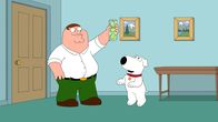 Family Guy – Als Dank für einen guten Ratschlag erhält Brian (r.) von Peter (l.) neue Bälle zum Spielen - doch auch Peter geht unter die Ballspieler, als er die Teilnahme an einem Baseballcamp gewinnt ...