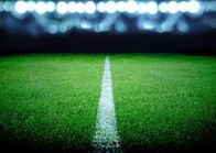 Fußball: Europameisterschaft – Soccer field and the bright lights