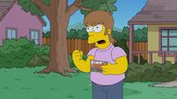 Die Simpsons – Homer