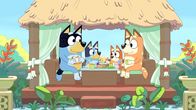 Bluey – L-R: Bandit, Bluey, Bingo, Chilli