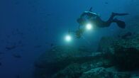 Expedition Atlantis – Fr, 16.10., 13:45 Uhr